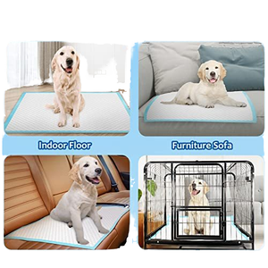 2026 60*60 Wholesale Pet Pee <b>Pad</b> With Leak-proof Disposable Dog <b>Puppy</b> Training Pee Urine <b>Pad</b> Empapadores Perro - Product Image 6