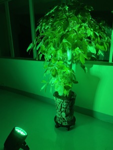 Alta calidad IP65 impermeable LED etapa luz 18PCS RGBW 4 en 1 haz proyector DMX512 Control - Product Image 5