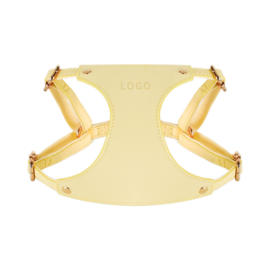 Directo de fábrica, conjunto de correa de arnés de cuero de alta calidad para mascotas, correa de pecho acolchada para perros pequeños y medianos, Collar de perro de moda para gatos - Product Image 4