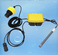 Sonde de niveau de liquide pour puits d'égouts et de pluie Dayu 3.6V à faible consommation d'énergie pour inspection