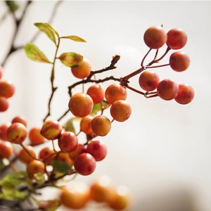Tiges de baies rouges artificielles, branches de houx d'<span class=keywords><strong>hiver</strong></span> avec feuilles vertes pour centre de table, <span class=keywords><strong>décoration</strong></span> de mariage, garnitures de vase - Product Image 4