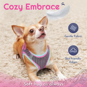En Vogue : Harnais et <span class=keywords><strong>Laisse</strong></span> de Luxe Imprimés pour Chiens, Ensemble Designer Imperméable pour Teddy - Product Image 4