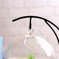 Vase en verre hydroponique pour fenêtre, design créatif et tendance, fabrication en gros, nouveau modèle, avec cadre en fer