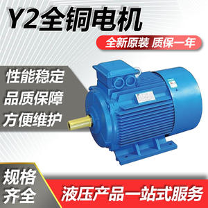 Motor Asíncrono de Alta Potencia y Alto Voltaje Serie Y2 de 4kW-4 Fases, Motor de CA de Frecuencia Variable Estándar Nacional de Cobre Puro - Product Image 5