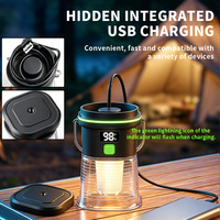 Lampe de poche d'urgence portable pour la maison, affichage numérique du niveau de la batterie, éclairage LED multifonction, lampe de camping rechargeable