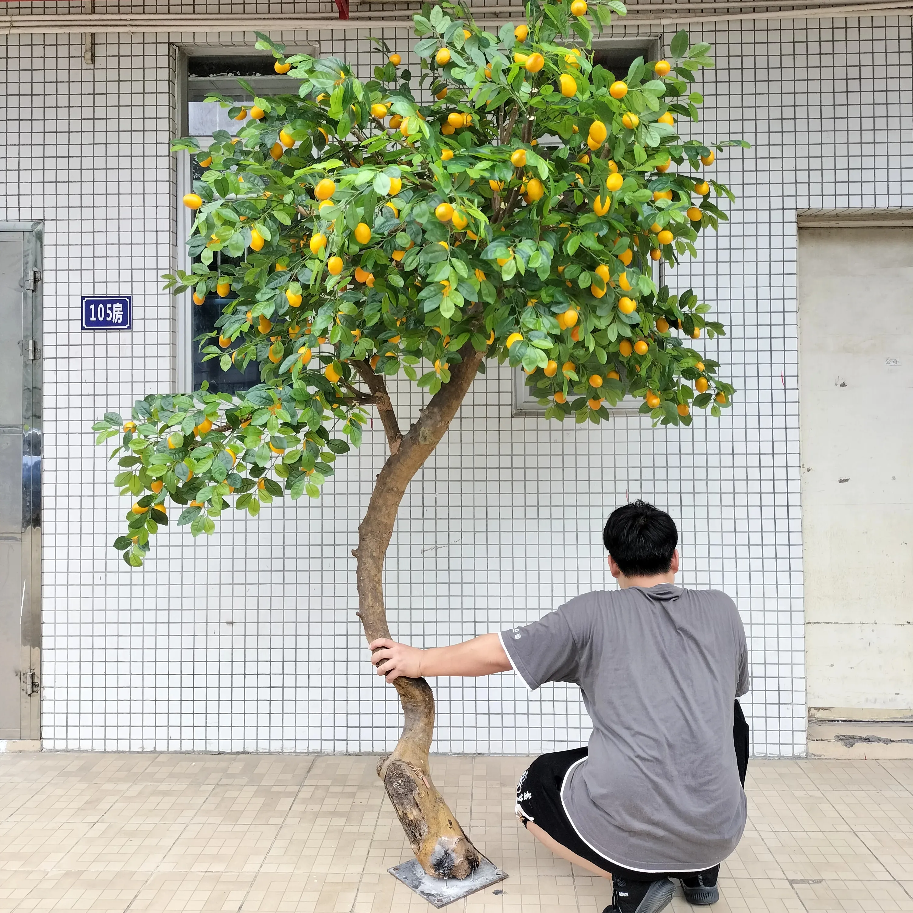 天然レモンの木装飾用にカスタマイズされたフルーツ自然な外観のレモンの木と本物の幹レモンの木