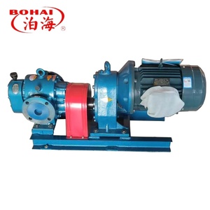 Bomba de la Serie LC Personalizable de Acero Inoxidable con Rotor de Desplazamiento Positivo para Alta Viscosidad 0.6MPa, Industria de Biocombustibles - Product Image 2
