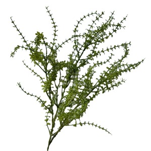 Nuova Erba Artificiale Verde Simulata, Muschio Morbido, Erba Asparaginosa per Decorazioni Matrimoniali, Pianta Artificiale all'Ingrosso - Product Image 4