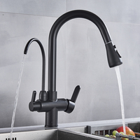 Robinet de cuisine moderne en laiton avec filtre purificateur d'eau, finition nickel brossé, pour la maison et les projets (vente en gros)