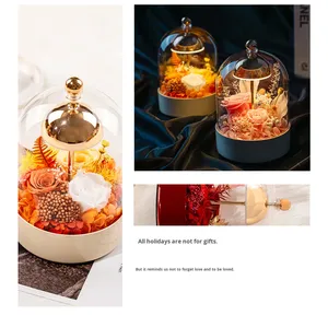 Lámpara de Noche Decorativa D431, Luz Ambiental para Dormitorio, Regalo de Cumpleaños, Navidad, Rosa Eterna en Caja de Regalo - Product Image 5