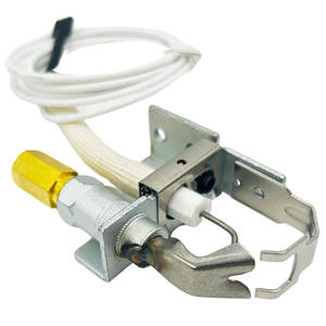 Conjunto de Encendedores de Quemador con Sistema de Válvula de Tapa de Piloto Natural/Propano 002003F Compatible con Calentadores de Piscina Raypack - Product Image 1