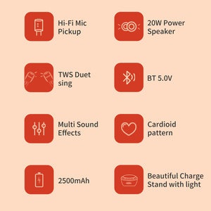 2023 mới phong cách chuyên nghiệp T1 Micro không dây 20W Loa điện 5D phím điều khiển phí đứng cho người lớn Micro ca hát - Product Image 4