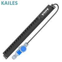 KAILES (KLS) Série K22 32A Monophasé CA 200-240VAC Usage Industriel 18 Prises Brésiliennes Équipement de Distribution d'Énergie