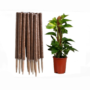Plastic Moss Coir Pole Top Pack Of Two Logo Stake Kit Wholesale Coconut Stick Set Stand Plant Support