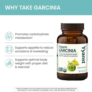 Capsules de Garcinia Cambogia de haute qualité, marque privée, contrôle de l'appétit, gestion du poids, perte de poids à base de plantes, amincissement, détoxification des graisses - Product Image 3