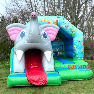 Castillo Inflable Comercial de PVC con Tobogán, Diseño de Cocodrilo, Protección UV, Resistente al Fuego, Capacidad de 1000 kg - Product Image 5