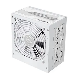 Vente chaude ordinateur Atx Pc alimentation 600W Apfc 80Plus or AC100-240V entièrement modulaire Psu pour bureau