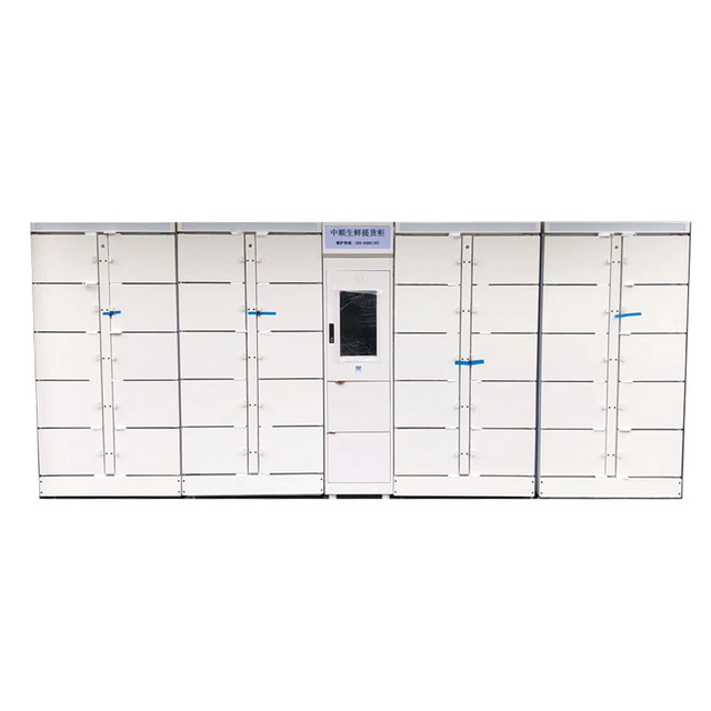 Fresh Fruit & Vegetable Smart Refrigerated Electronic Lock Assembled Locker with Waterproof & Eco-Friendly Design