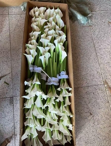 <span class=keywords><strong>Fiori</strong></span> Artificiali Calla Lily Real Touch all'Ingrosso, <span class=keywords><strong>Fiori</strong></span> Bianchi in EVA per Decorazioni Matrimoniali Autunnali e Centrotavola - Product Image 1