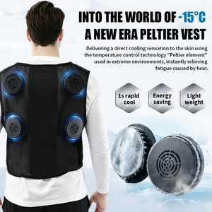 Chaleco Refrigerante TEC Semiconductor Peltier para <span class=keywords><strong>Verano</strong></span>, Aire Libre, <span class=keywords><strong>Hombre</strong></span> y Mujer, Informal, 100% Poliéster, Ropa Refrigerante para Clima Cálido - Product Image 2