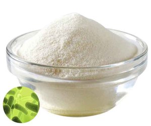 เครื่องทำแห้งแบบแช่แข็งสำหรับเปปไทด์ในห้องปฏิบัติการ/การผลิต - การรับรองคุณสมบัติ <span class=keywords><strong>IQ</strong></span>/<span class=keywords><strong>OQ</strong></span> และการอบแห้งด้วยอุณหภูมิต่ำ สำหรับผงเปปไทด์ - Product Image 5