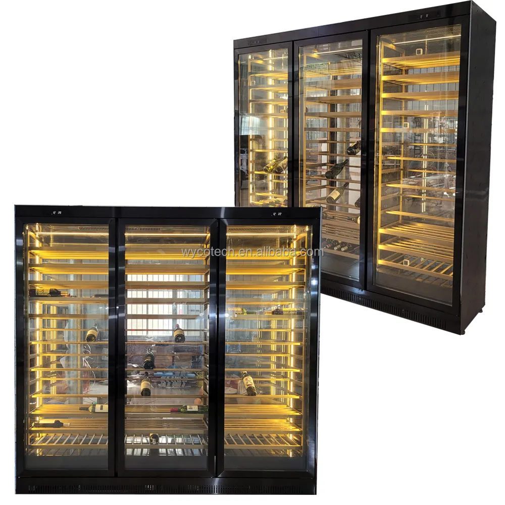 Glazen Materiaal Achterzijde Glazen Deur Wijn Koeler Chiller Met Gouden Kleur Ss Plank Dual Zones Commerciële Display Koelkast
