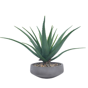 Plantes succulentes plantes artificielles fausses plantes d'<span class=keywords><strong>aloe</strong></span> <span class=keywords><strong>vera</strong></span> en pot de ciment plante d'agave pour la maison <span class=keywords><strong>bureau</strong></span> <span class=keywords><strong>bureau</strong></span> salle de bain étagère décorations - Product Image 1