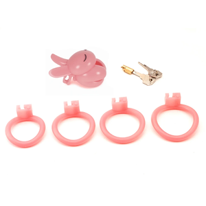 Hochwertige männliche Keuschheit Käfig Sexspielzeug Sissy weiblich männlich Anfänger Hase Keuschheit Keuschheit gürtel mit vier Größe Penis Ring 18 - Product Image 3