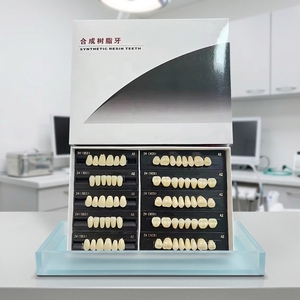 <span class=keywords><strong>CAIYU</strong></span> - Juego Completo de Dientes de Resina Acrílica Dental con Fuente de Alimentación Manual, Dentaduras Postizas, Dientes Artificiales, Certificación CE Clase I - Product Image 2