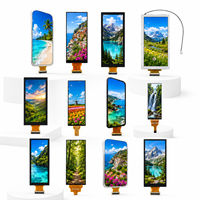 Wettbewerbsfähiger Preis 0,99-17,3 Zoll IPS-Bildschirmpanel 9,31 Zoll 600*1600 MIPI-Schnittstelle Kleines TFT-LCD-Anzeigemodul mit Treiberplatine