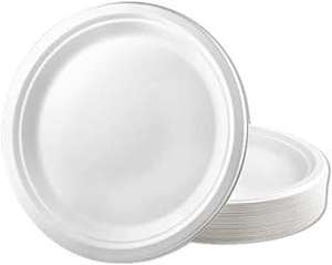 Assiettes en papier compostables en bagasse de canne à sucre Eco White de 10 pouces, lot de 100 - Product Image 3