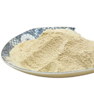 Poudre de fruit d'<span class=keywords><strong>alma</strong></span> de qualité alimentaire, poudre de groseille indienne pour complément alimentaire, ingrédient de poudre de fruit d'<span class=keywords><strong>alma</strong></span> - Product Image 1