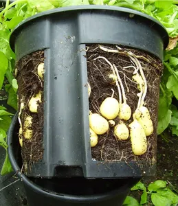 Boîte de plantation de légumes en plastique, Pot de plantation pour l'extérieur et le jardin, boîte de plantation Durable, Pot de pommes de terre