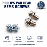Vis SEMS à tête cylindrique Phillips M2.5 M3 M4 personnalisées en gros, fabricant chinois, combinaison de vis et boulons de quincaillerie