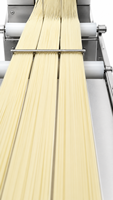 Machine extrudeuse automatique de nouilles en acier inoxydable de qualité alimentaire industrielle, moteur pour ligne de production de nouilles fraîches, 250 kg/h
