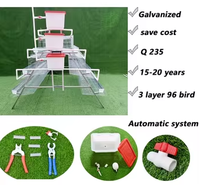 Vente en Gros de Cages en Batterie pour 10000 Poulets, Poules Pondeuses, 3/4 Niveaux, 96/120/128/160 Oiseaux, Cage à Poulets Pondeurs pour Élevage Avicole