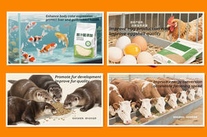 Additif alimentaire à 40 % d'acide <span class=keywords><strong>biliaire</strong></span> (acides aminés de qualité alimentaire) – Graisse fortement émulsifiée pour le traitement des animaux aquatiques atteints de syndrome hépatobiliaire - Product Image 5