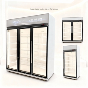 Réfrigérateur vertical pour épicerie, refroidisseur de boissons pour supermarché, réfrigérateur commercial avec porte vitrée, commande LED - Product Image 3