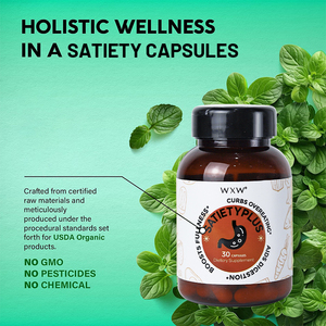 MOQ et livraison rapides, OEM et ODM personnalisés, coupe-faim avec Garcinia Cambogia et thé vert - Product Image 4