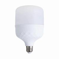 Ampoule LED E27 165-265V pas chère ampoule LED Globe en forme de T avec pièces de rechange 5W 10W 15W 20W 30W 40W 50W 60W type de base B22