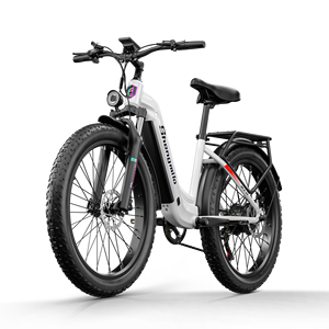 Bicicleta Eléctrica de Montaña con Doble Motor de 48v 1000w, Doble Batería y Neumáticos Anchos, con Garantía de Cinco Años - Product Image 1
