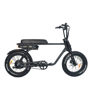 Bicicleta Eléctrica Urbana de 36v250w con Transmisión por Correa, 20 Pulgadas, Sensor de Torque, Neumático Grueso, Una Velocidad, para Pasajeros - Product Image 6