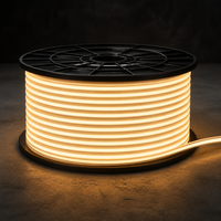 Tira de Luz LED COB 220V IP66 Impermeable 120LEDs/M Ra≥90 Sin Puntos Oscuros Cortable Cada 10cm Luz de Nube DIY Personalizable OEM 50-100M