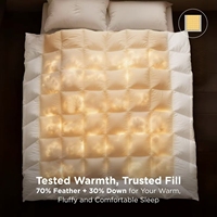 Couette en plumes King Size toutes saisons |   Meuble de rangement de luxe certifié Downpass pour hôtel, 8 compartiments d'angle