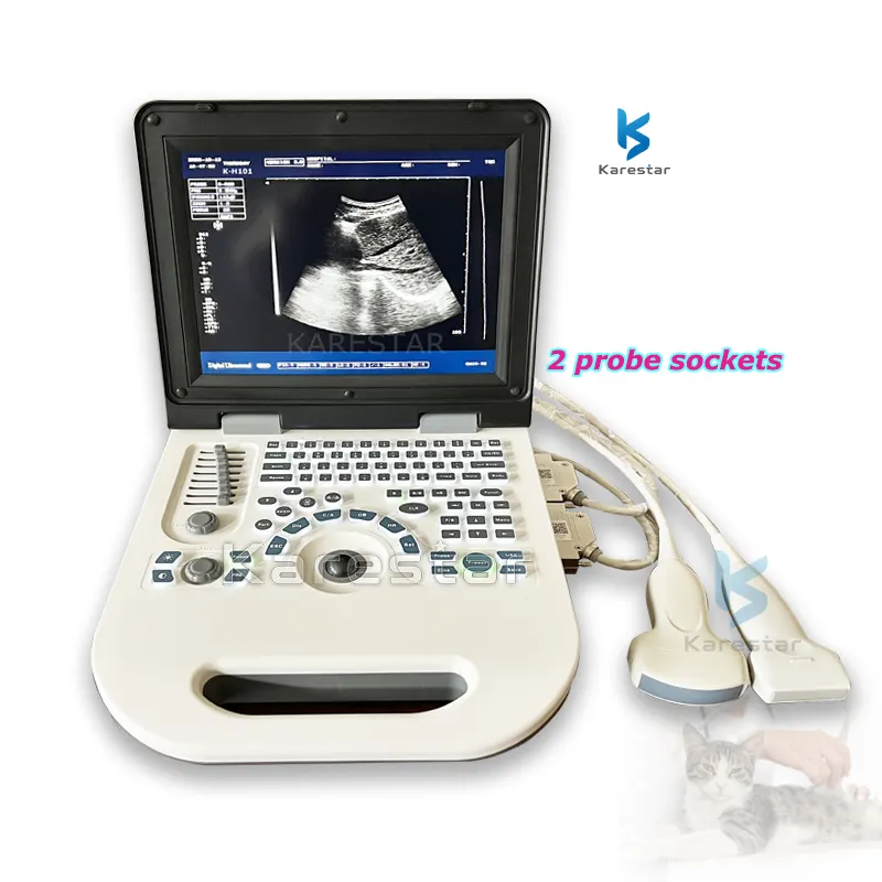 Notebook portatile OB GYN Ultrasound Laptop Ultrasound B scanner Vet ultrasound machine