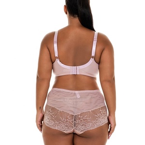 Ensemble <span class=keywords><strong>de</strong></span> lingerie sexy en dentelle pour femmes, soutien-gorge mignon, surplus <span class=keywords><strong>de</strong></span> stock, grandes tailles, grandes tailles, ensembles <span class=keywords><strong>de</strong></span> soutien-gorge et culottes pour femmes grandes tailles - Product Image 2