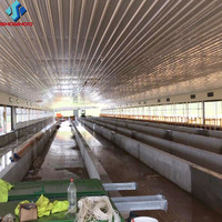 Bâtiment avicole préfabriqué automatique pour poulets de chair, structure en acier galvanisé, pour l'élevage commercial de volailles