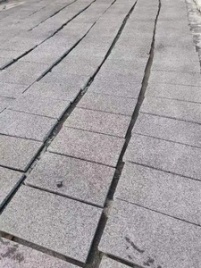 Style rétro moderne, surface en pierre naturelle de granit gris polie pour la conception de sols de cour et de salon, utilisable pour diverses applications - Product Image 5