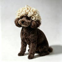Perruque pour animaux de compagnie, pour chats et chiens, perruque afro universelle pour Halloween, accessoires capillaires personnalisés, toutes saisons