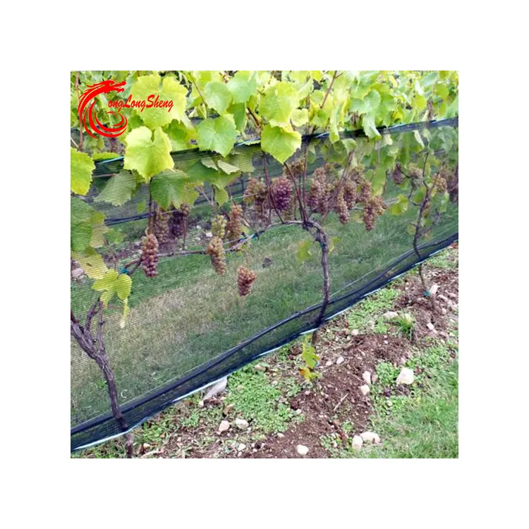 Garden Gardening Cover Bird Barrier Netting High Strength And Large Span vineyard netting
